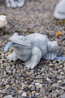 Żaba do oczka wodnego